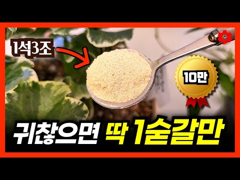 [March Spring Essential, Verified Fertilizer]ㅣ'Just one spoonful' and I was surprised by the abun...