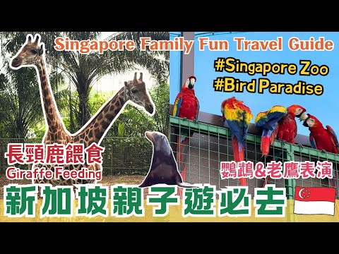 Singapore Travel Guide 🌴 Up Close! 🦒 What's it like to feed giraffes? Amazing bird "free flight" ...