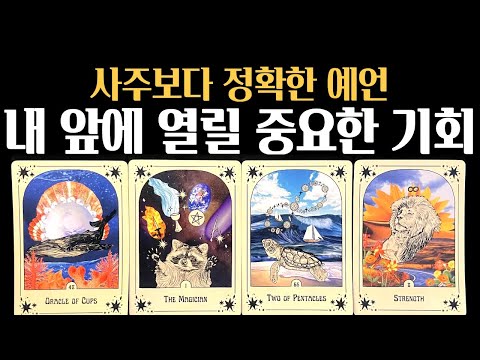[타로] ✨역대급 리딩❗내 앞에 열릴 중요한 기회🍀여러분의 성공을 기원합니다🙏