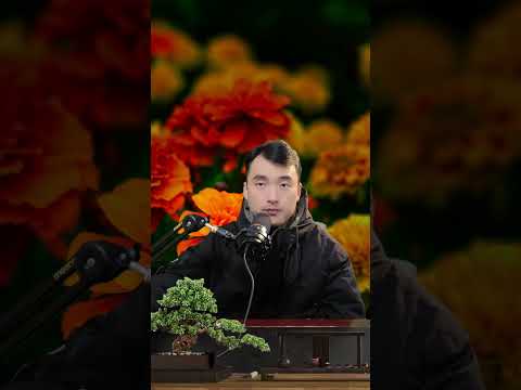 《能说服一个人的，从来不是道理，而是南墙》，作者安娜贝苏 #内容过于真实 #成年人共鸣