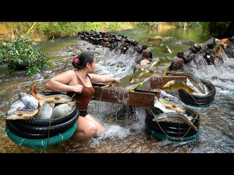 Win big with snakehead fish, carp from full basket to forest stream - Surprise from recycled tires
