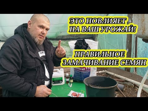 ЭТО УВЕЛИЧИТ ВАШ УРОЖАЙ! ПРАВИЛЬНОЕ ЗАМАЧИВАНИЕ СЕМЯН ПЕРЕД ПОСЕВОМ