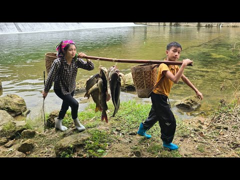 Highland fish trapping skills, setting traps with hooks to harvest catfish and carp for sale