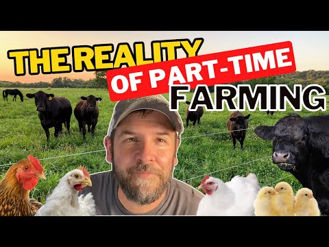 Why The Part-Time Farmer? (The Reality of Part-Time Farming)
