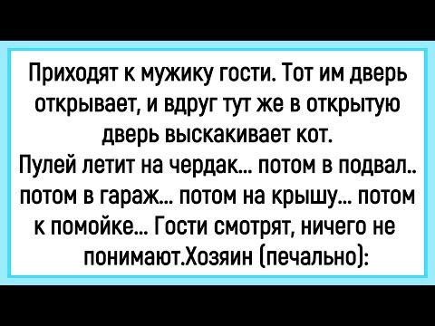🔥Как Гости Не Понимали Что С Котом Мужика! Сборник Смешных Анекдотов! Юмор! Позитив!