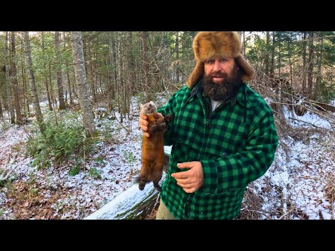 Our BEST DAY Fisher and Marten Trapping, EVER!