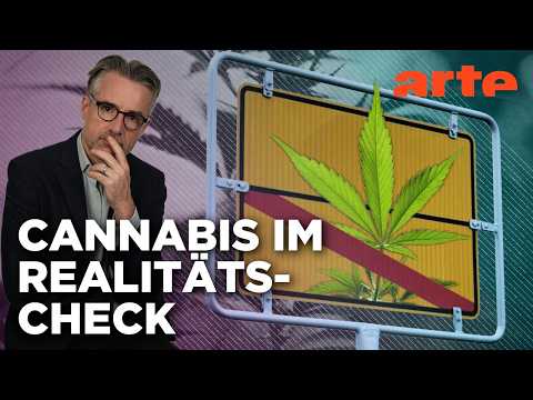 Kiffen erlaubt – Was bringt's? | Agree to Disagree! | ARTE