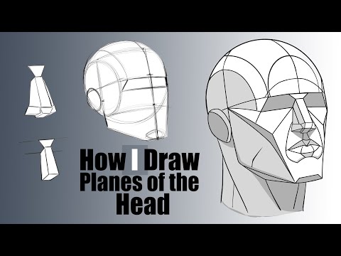How I Draw the Planes of the Head