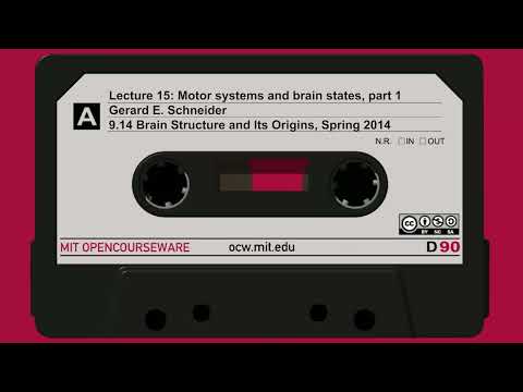 15. Motor systems and brain states, part 1