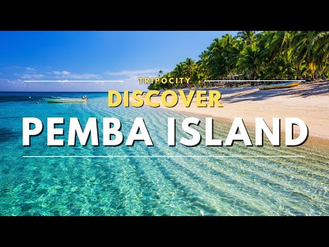 Pemba Island Tanzania Travel Guide: Must-See Beaches, Diving Spots, and Attractions
