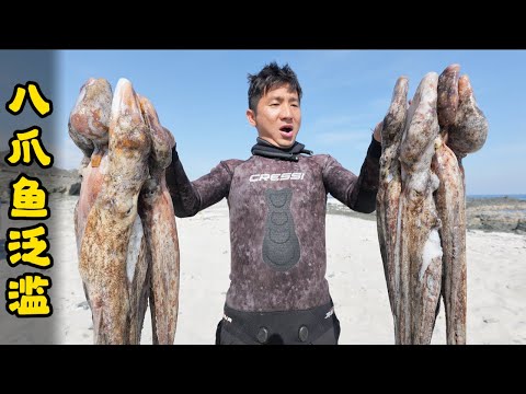 这中东的八爪鱼简直叫着泛滥,但在捕抓过程中,女队友却不幸被大腿粗的海鳗给咬伤!#八爪鱼 #抓龙虾 #海鳗 #outdoors #赶海 #ocean #露营