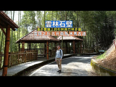 雲林石壁雲嶺之丘漫步在雲端的杉林與五元兩角竹林步道，沉浸在三縣交界的高山美景