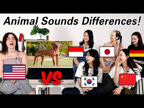 American Was shocked by Animal Pronunciation differences Between 6 Countries!!
