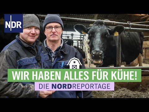 Rollender Einkaufsladen für Vierbeiner | Die Nordreportage | NDR