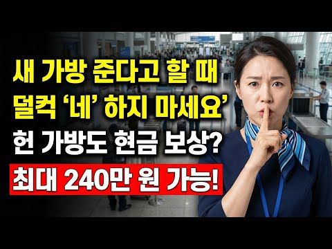 공항에서 캐리어 깨졌을 때, **'3글자'**만 외치면 최대 240만 원 받습니다