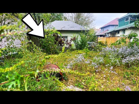 STUNNED this was BURIED in this Yard!