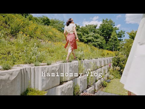 Cleaning & organizing ideas, with disposable itemsㅣTips for sustainable livingㅣCooking & Gardening