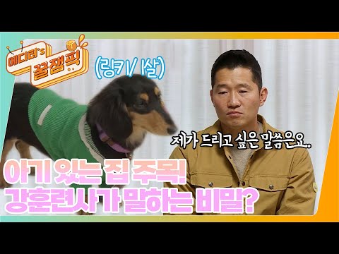 [#개는훌륭하다] 아기와 함께 강아지 키우는 집 주목! 🥺 강훈련사가 말해주는 충격적인 비밀? 🐶ㅣKBS 220117 방송