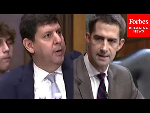 'What Is An Assault Weapon?': Tom Cotton Grills ATF Director Nominee