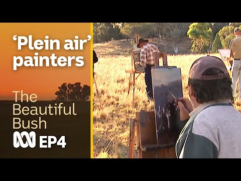 Landscape painters go bush to work 'plein air', or in the open air | Beautiful Bush | ABC Australia