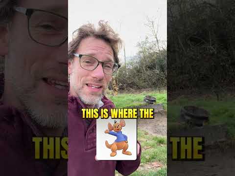 Why Winnie the Pooh Is Taught in Med School