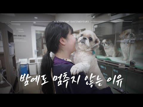 [다큐] 반려가족의 하루를 끝까지 함께하는 사람들 #2부 #죽전동물메디컬센터