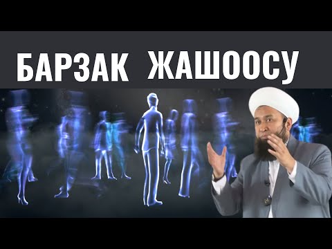 БАРЗАК ЖАШООСУ