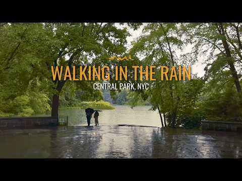 Central Park Rain Walk NYC: Immersive Binaural Rain & Thunder ASMR Experience ☔️