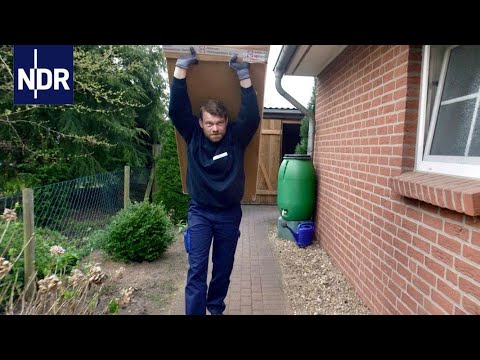 Möbelpacker: Mehr als professionelle Umzugshelfer | 7 Tage | NDR