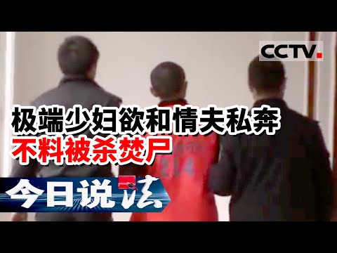 《今日说法》湖北老汉外出祭祖 意外发现路边一具烧焦的女尸 20160416 | CCTV今日说法频道