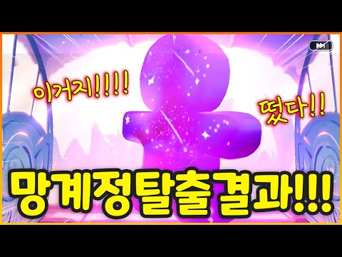 쿠킹덤 초보의 망계정 탈출 도전!!!! 우와.. 드디어 떴다.......? [쿠키런킹덤]