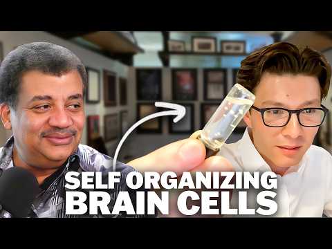 Groundbreaking Studies Recreate Human Brain Circuits in a Dish