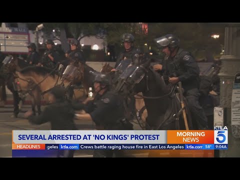 Several arrested at 'No Kings' protest