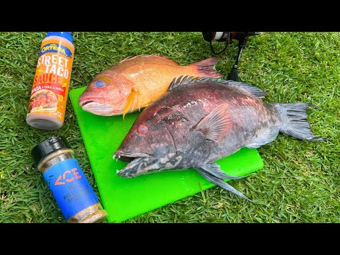 Catch n’ Cook Toothy Hogfish (Hawaii Fishing)