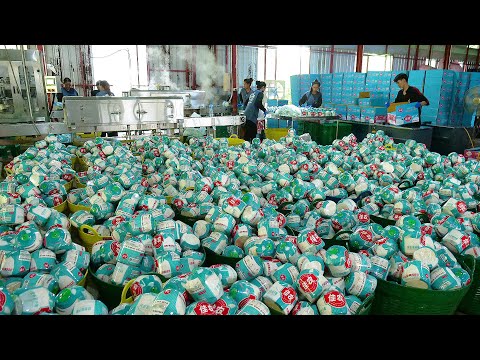 The Process of Harvesting Coconuts and Exporting Them Abroad - Thai Street Food