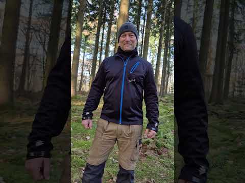 Friedhof stealth camp