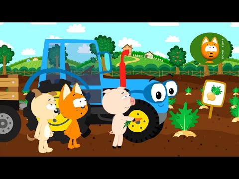Veggies - Meow Meow Kitty - song for kids