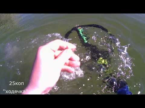 Коп на пруду 2017 год c металлоискателем Minelab Excalibur II !Что можно найти НА ПЛЯЖЕ под водой!?