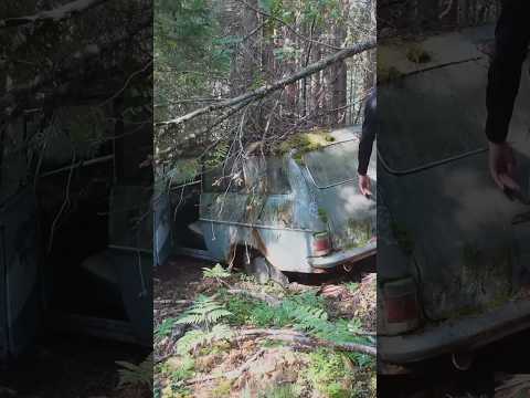 Junkard Opel | Will it drive us home? #restoration #barnfind #classiccars #willitrun