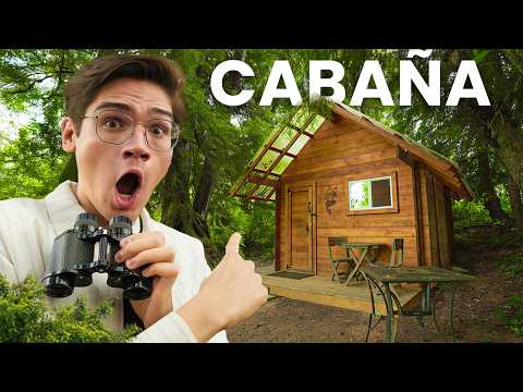 Airbnbs in the Forest 😱🌳