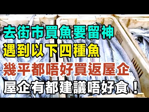 去街市買魚要留神，遇到以下四種魚，幾平都唔好買返屋企，就算屋企有都建議唔好食。 #健康你要知 #養生唔好中伏 #食物真相揭秘 #廚房智慧 #飲食要清淡 #食得健康 #你唔知的營養知識 #街市買餸攻略