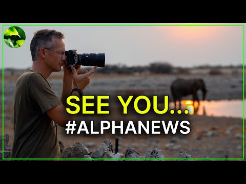 Nie wieder Namibia? Sony A7V mit 33 MP 📸 Canon Objektiv mit 5200mm!! #alphanews