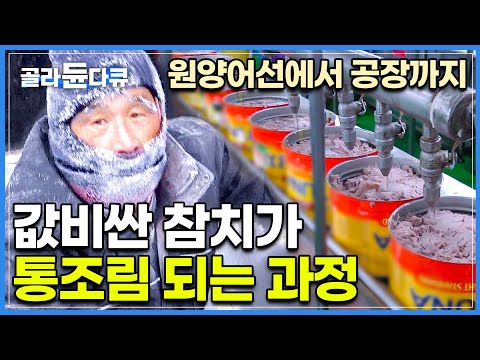 장장 2년 원양어선 대장정 끝. 목숨걸고 잡아온 초대형 참치가 따뜻한 밥상으로 오기까지│원양어선 참치잡이│참치 통조림 공장│극한직업│#골라듄다큐