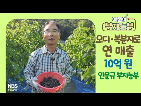 [역전의부자농부 252회] 오디·복분자로 연 매출 10억 원! 전북 고창 안문규 부자농부