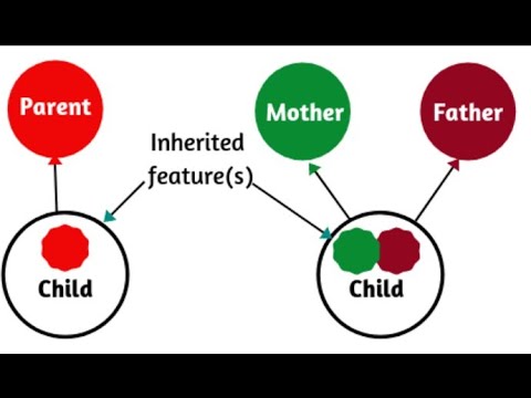 Inheritance - Part 1 | C#.NET Tutorial | Zaheer Ahmad