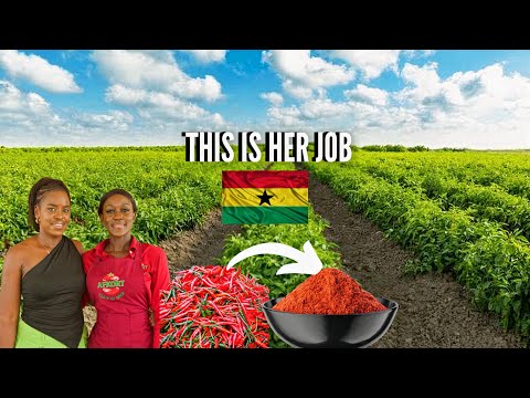THIS GHANAIAN WOMAN MAKES SPICES FROM SCRATCH | LIVING IN GHANA