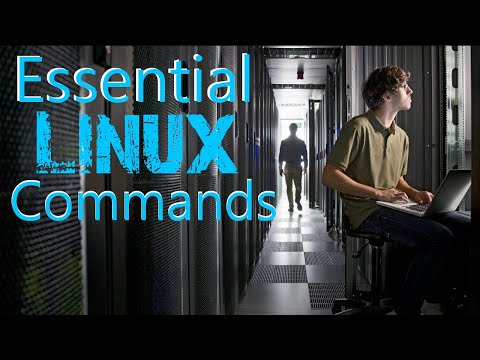 Essential Linux Commands for Beginners in 2023