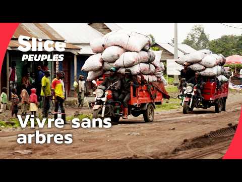 Vivre sans arbres ? Le combat des Batwa au Congo | DOC ENTIER | SLICE PEUPLES