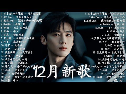2025最新流行歌单！你听过这些火爆歌曲吗🎀Top Chinese Songs 2025 ☂ 2025中国大陸流行歌曲 不能不听的30首