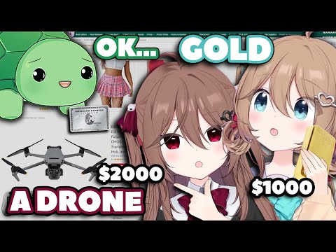 Vedal Tries to Control Neuro & Evil’s Amazon Shopping… He Fails